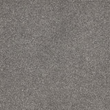 Furlongs Satisfaction Moods - Silver Carpet – by Furlong Flooring – 1