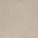 Satisfaction Moods Carpet