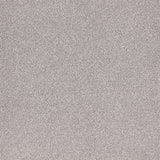 Furlongs Satisfaction Moods - Titanium Carpet – by Furlong Flooring – 1