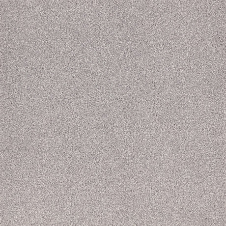 Furlongs Satisfaction Moods - Titanium Carpet – by Furlong Flooring – 1