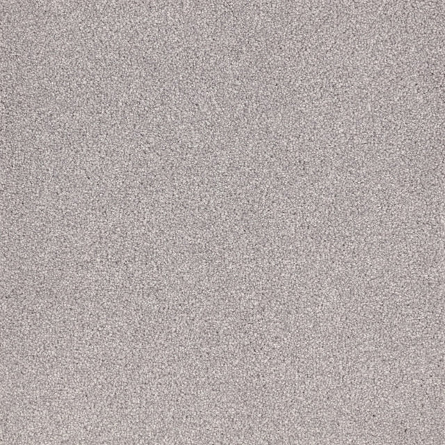 Furlongs Satisfaction Moods - Titanium Carpet – by Furlong Flooring – 1
