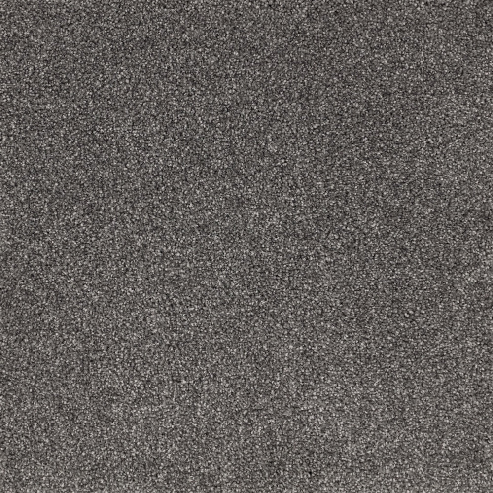 Furlongs Satisfaction Ultra - Cobalt Carpet – by Furlong Flooring – 1