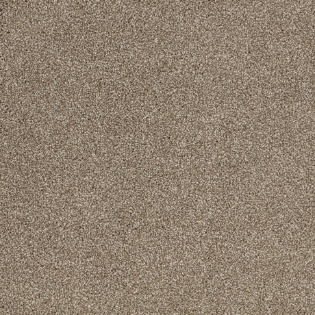 Furlongs Satisfaction Ultra - Glacier Carpet – by Furlong Flooring – 1