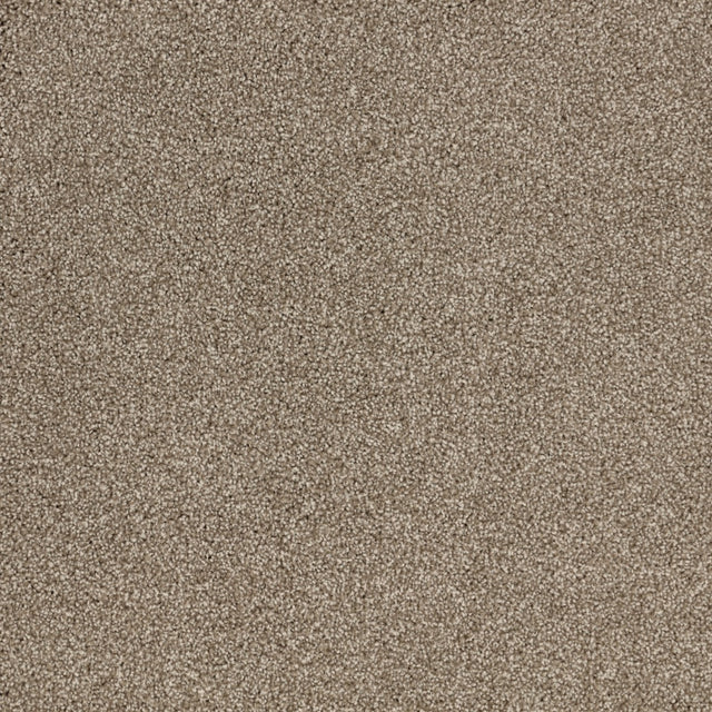 Furlongs Satisfaction Ultra - Glacier Carpet – by Furlong Flooring – 1