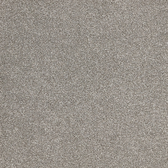 Furlongs Satisfaction Ultra - Inox Carpet – by Furlong Flooring – 1