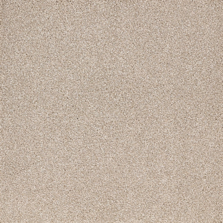 Furlongs Satisfaction Ultra - Orchid Carpet – by Furlong Flooring – 1