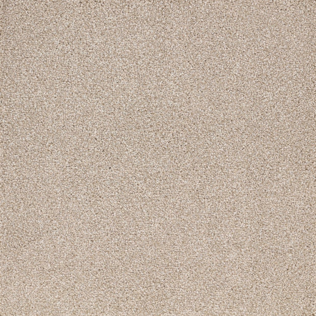 Furlongs Satisfaction Ultra - Orchid Carpet – by Furlong Flooring – 1