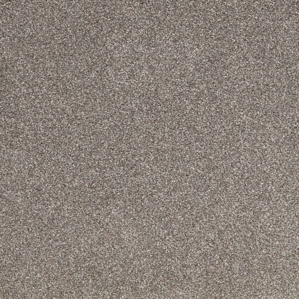 Furlongs Satisfaction Ultra - Peat Carpet – by Furlong Flooring – 1