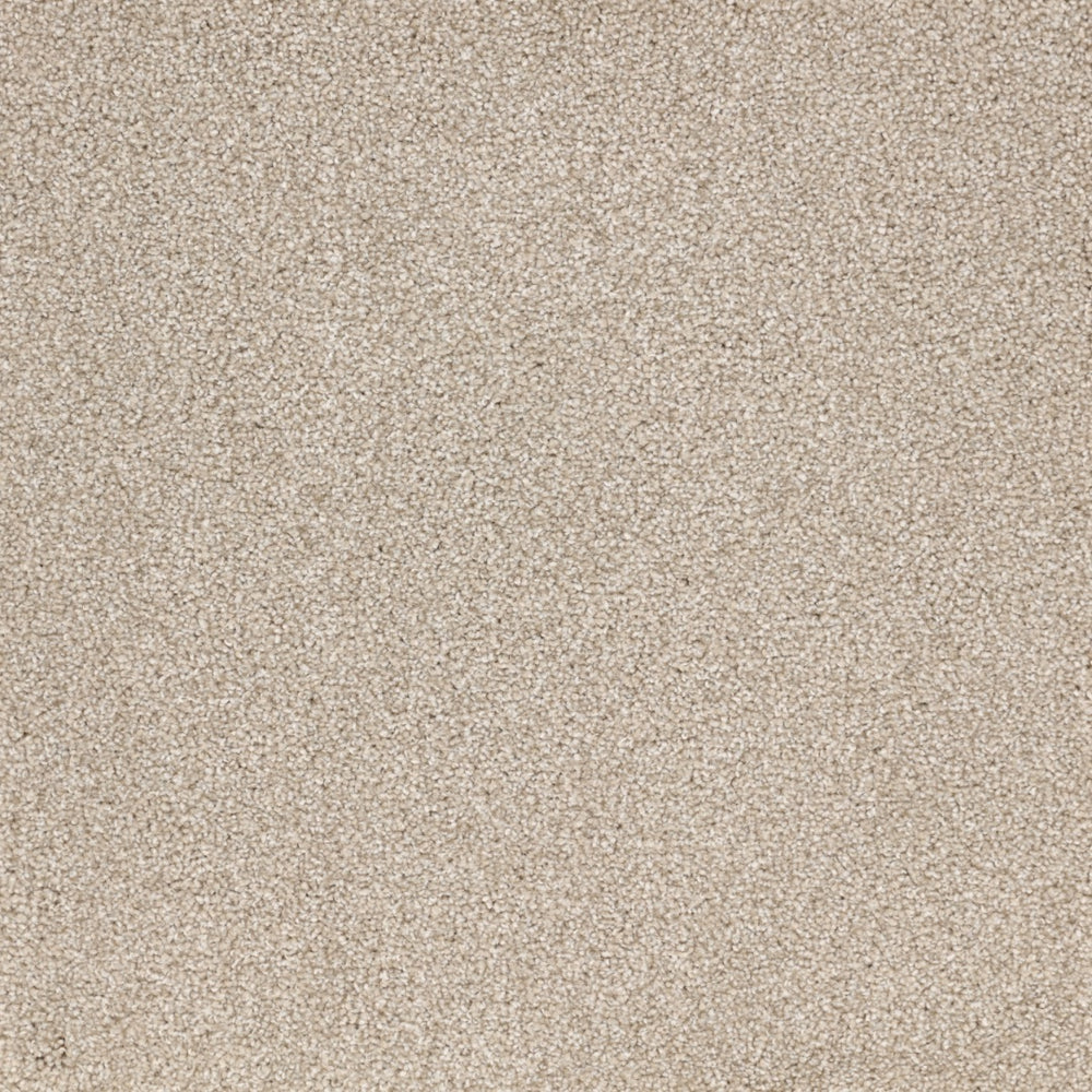 Furlongs Satisfaction Ultra - Talc Carpet – by Furlong Flooring – 1