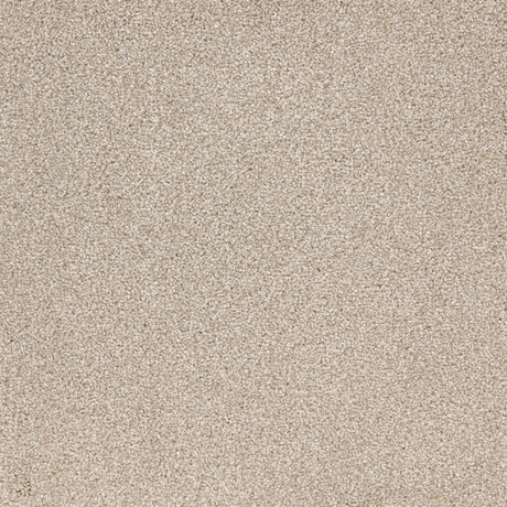 Furlongs Satisfaction Ultra - Talc Carpet – by Furlong Flooring – 1