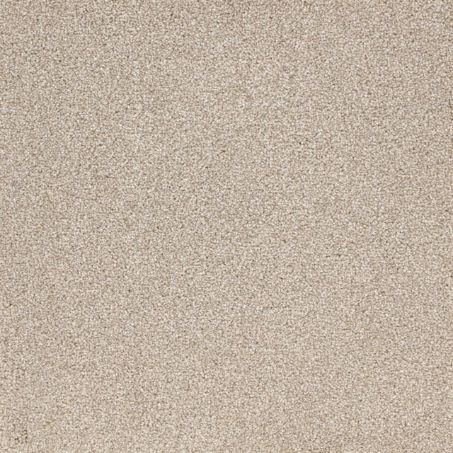 Furlongs Satisfaction Ultra - Talc Carpet – by Furlong Flooring – 1