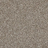 Kingsmead Hideaway - Warm Tone Carpet