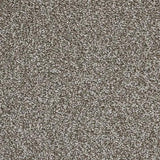 Kingsmead Hideaway - Retreat Carpet
