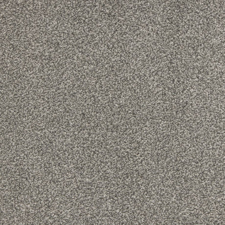 Euphoria Saxony- Graphite Carpet – by Abingdon Flooring – 1