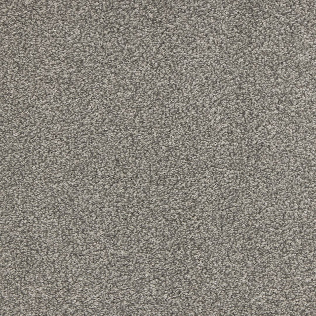 Euphoria Saxony- Graphite Carpet – by Abingdon Flooring – 1