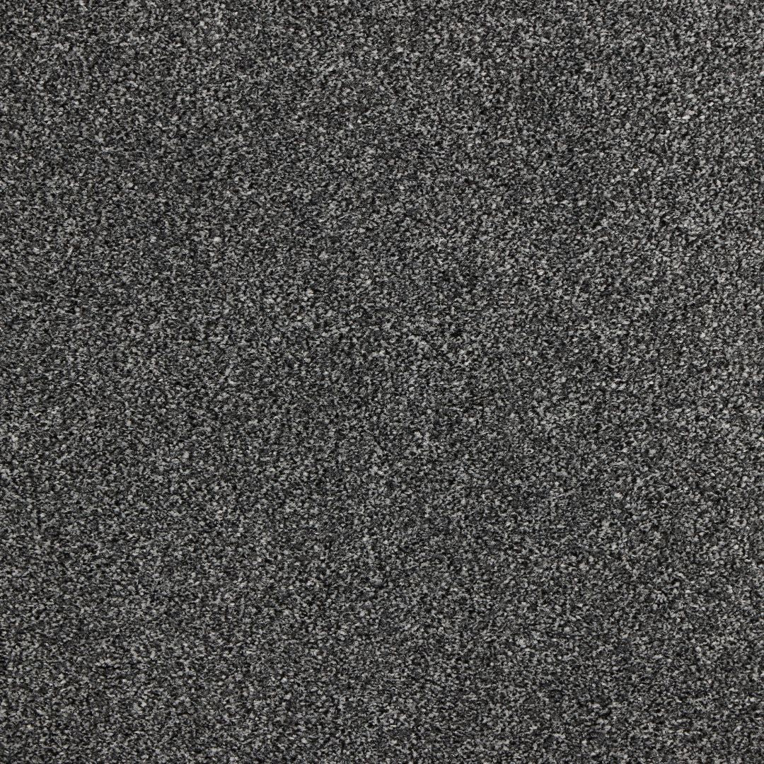 Euphoria Saxony - Gun metal Carpet – by Abingdon Flooring – 1