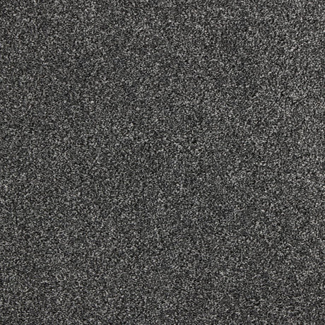 Euphoria Saxony - Gun metal Carpet – by Abingdon Flooring – 1