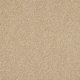 Euphoria Saxony- Hazelnut Carpet – by Abingdon Flooring – 1