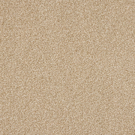 Euphoria Saxony- Hazelnut Carpet – by Abingdon Flooring – 1