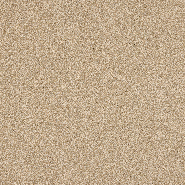 Euphoria Saxony- Hazelnut Carpet – by Abingdon Flooring – 1
