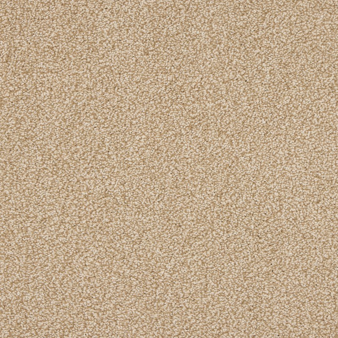 Euphoria Saxony Carpet
