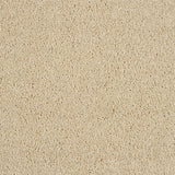 Abingdon Hidden Depths - Honeydew Carpet – by Abingdon Flooring – 1
