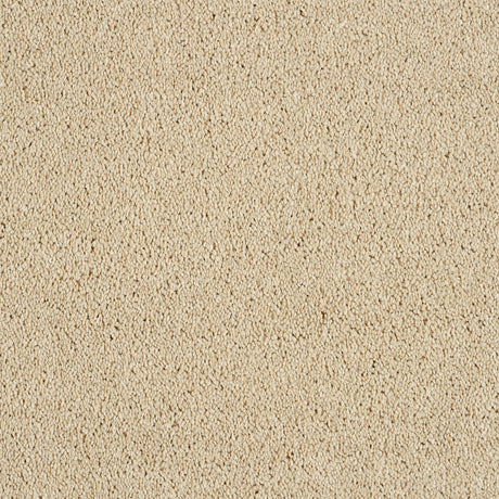 Abingdon Hidden Depths - Honeydew Carpet – by Abingdon Flooring – 1