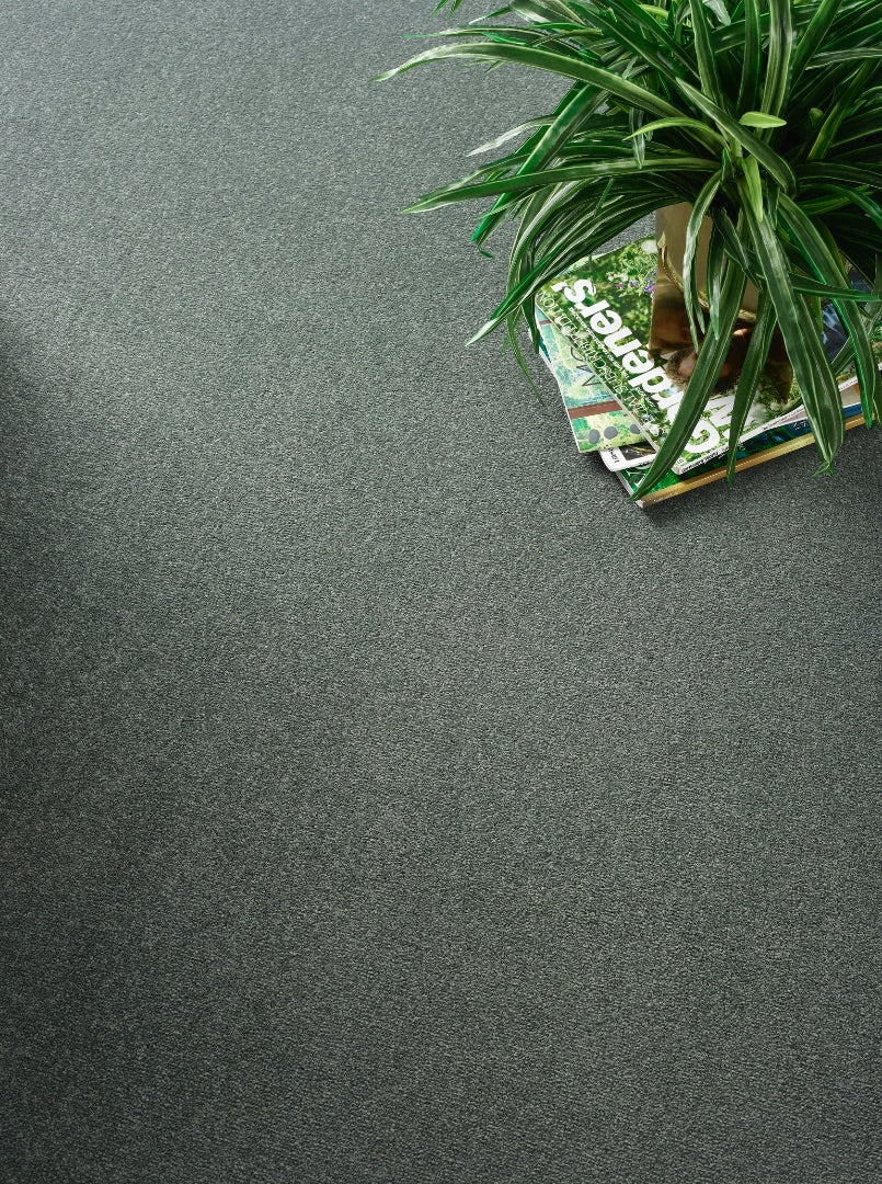 Abingdon Stainfree Twist - Basil Carpet