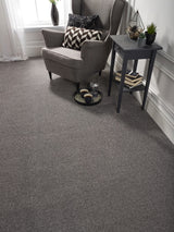 Abingdon Maximus - Fossil Carpet