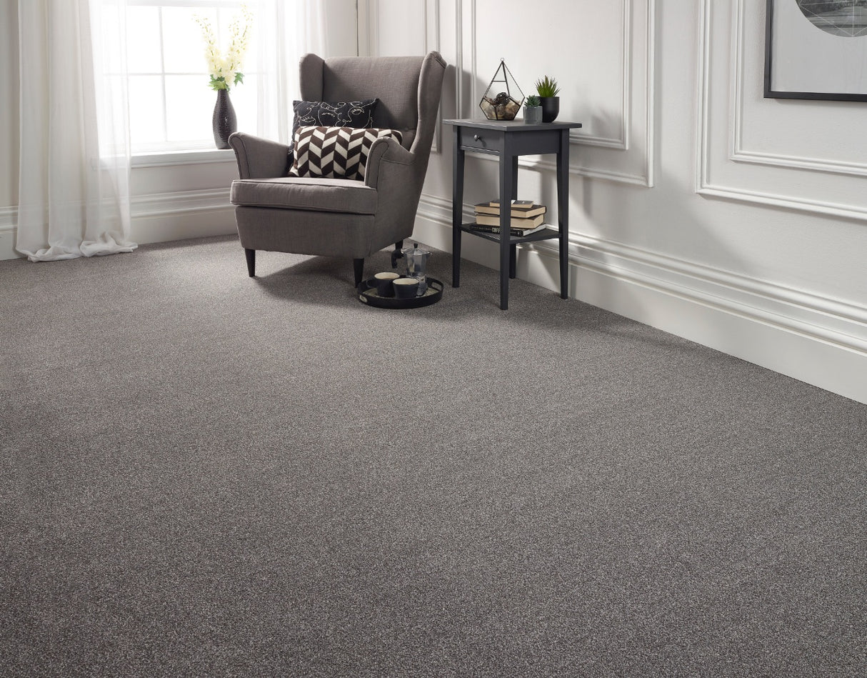 Abingdon Maximus - Fossil Carpet