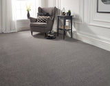 Abingdon Maximus - Fossil Carpet