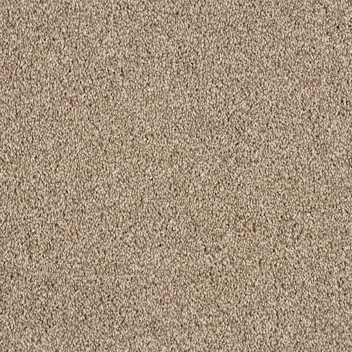 Love Story Hidden Depths Carpet