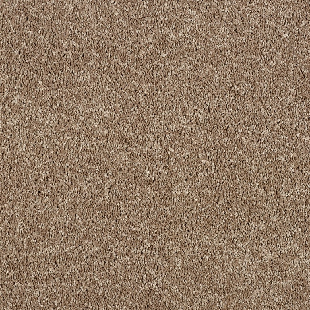 Abingdon Hidden Depths - Velvet Taupe Carpet
