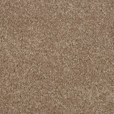 Abingdon Hidden Depths - Velvet Taupe Carpet