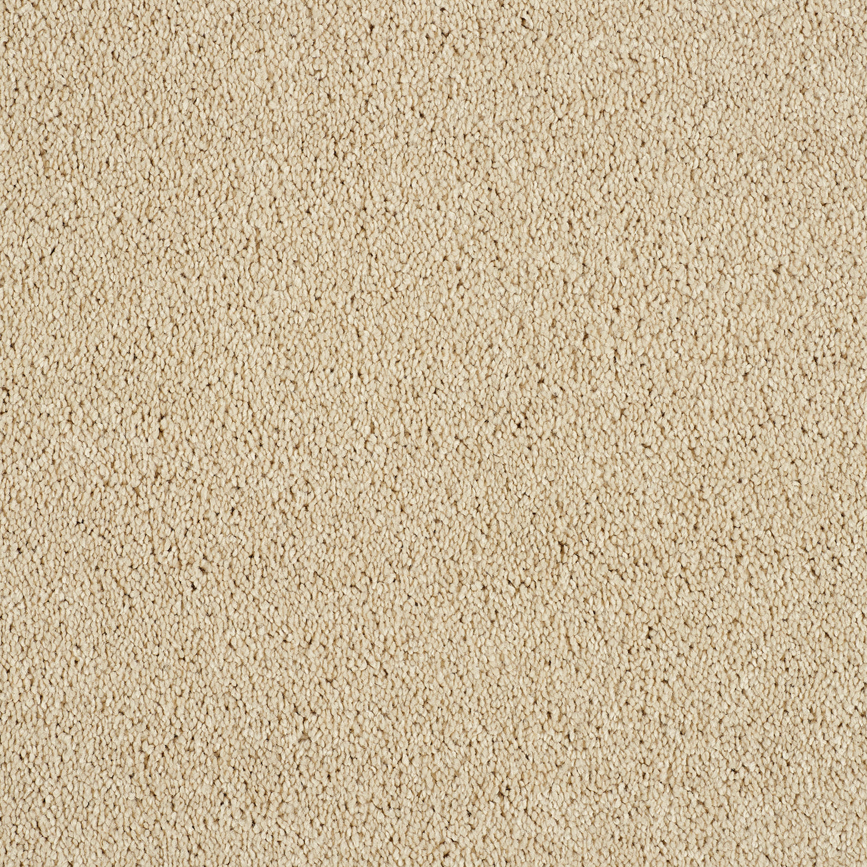 Abingdon Hidden Depths - Honeydew Carpet