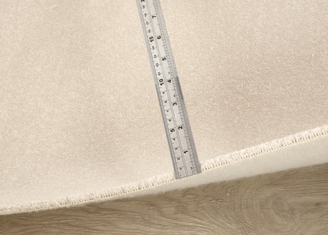 Abingdon Stainfree Ultra - White Whisper Carpet – by Abingdon Flooring – 4