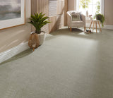 StainFree Ultra Carpet