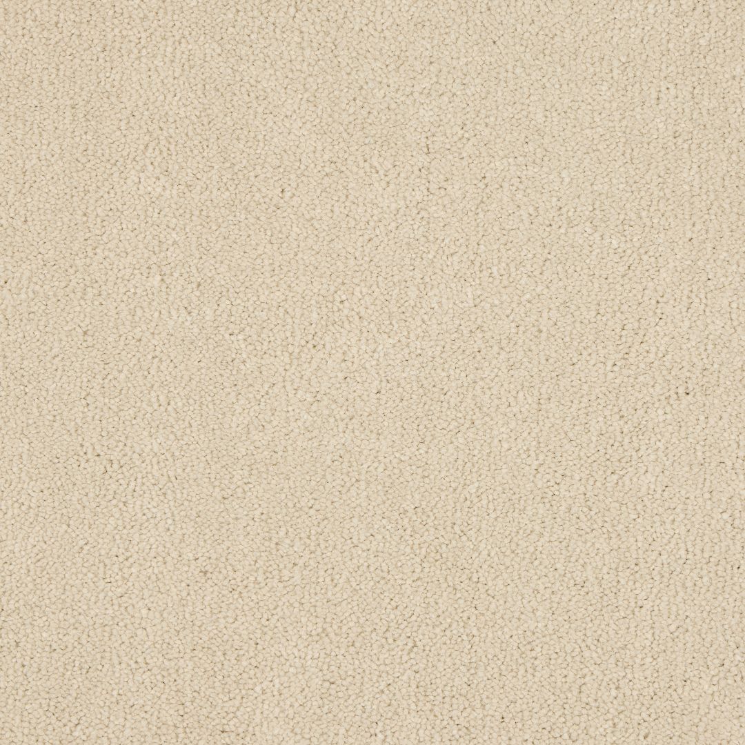 Euphoria Saxony- Ivory White Carpet – by Abingdon Flooring – 1