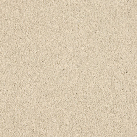 Euphoria Saxony- Ivory White Carpet – by Abingdon Flooring – 1