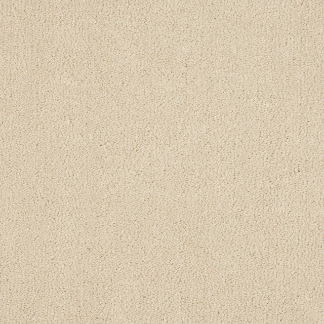 Euphoria Saxony- Ivory White Carpet – by Abingdon Flooring – 1