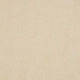 Euphoria Saxony Carpet