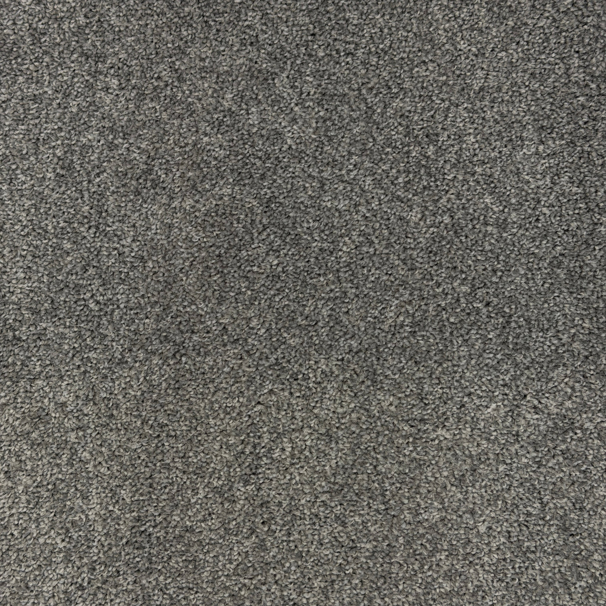 Elevate Twist Carpet