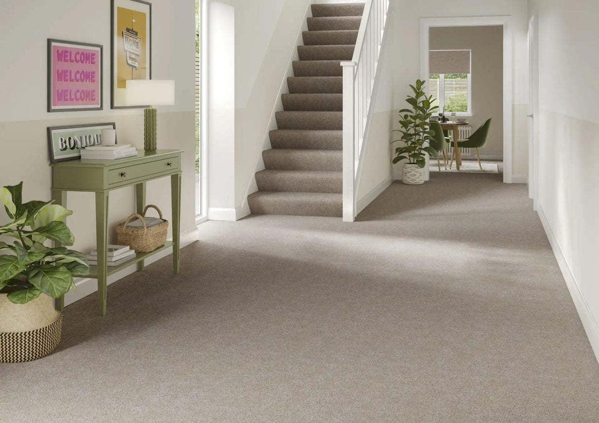 Kingsmead Hideaway - Retreat Carpet
