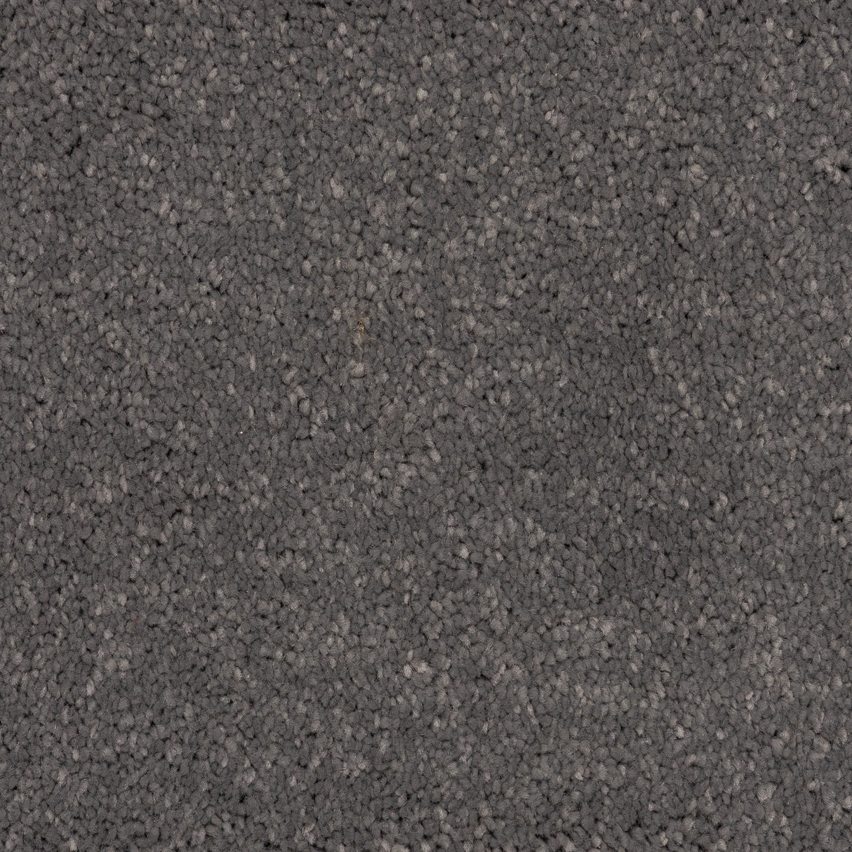 Knightlife Saxony Carpet