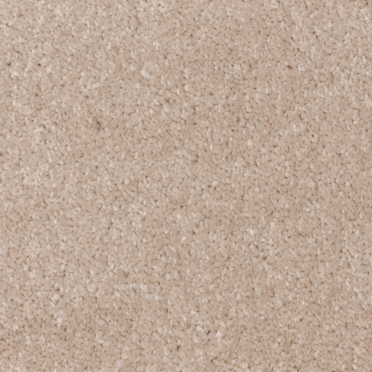 Knightlife Saxony Carpet