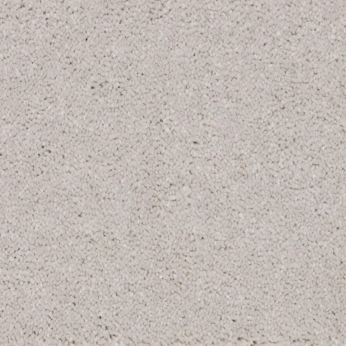 Knightlife Saxony Carpet