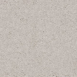 Knightlife Saxony Carpet