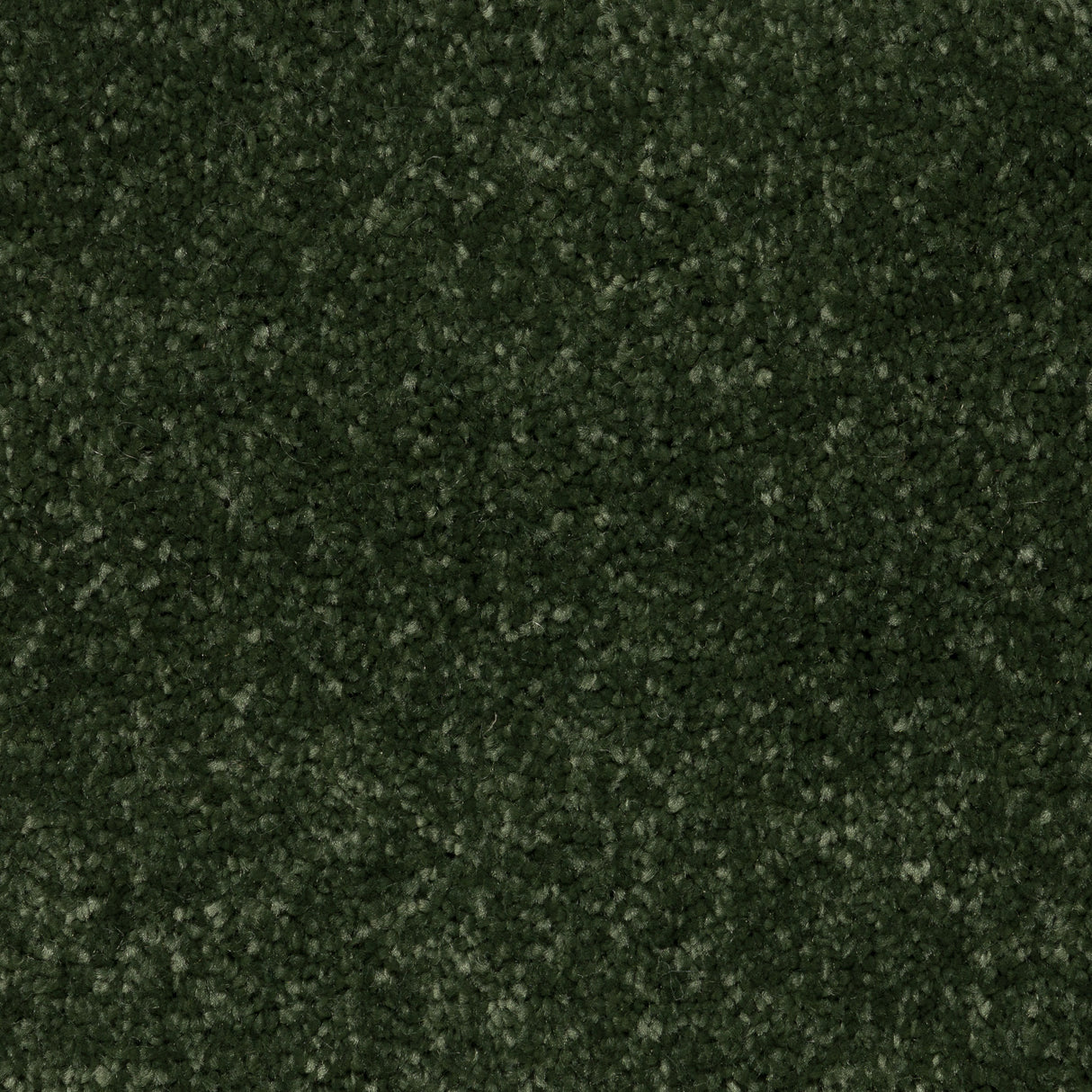 Knightlife Saxony Carpet