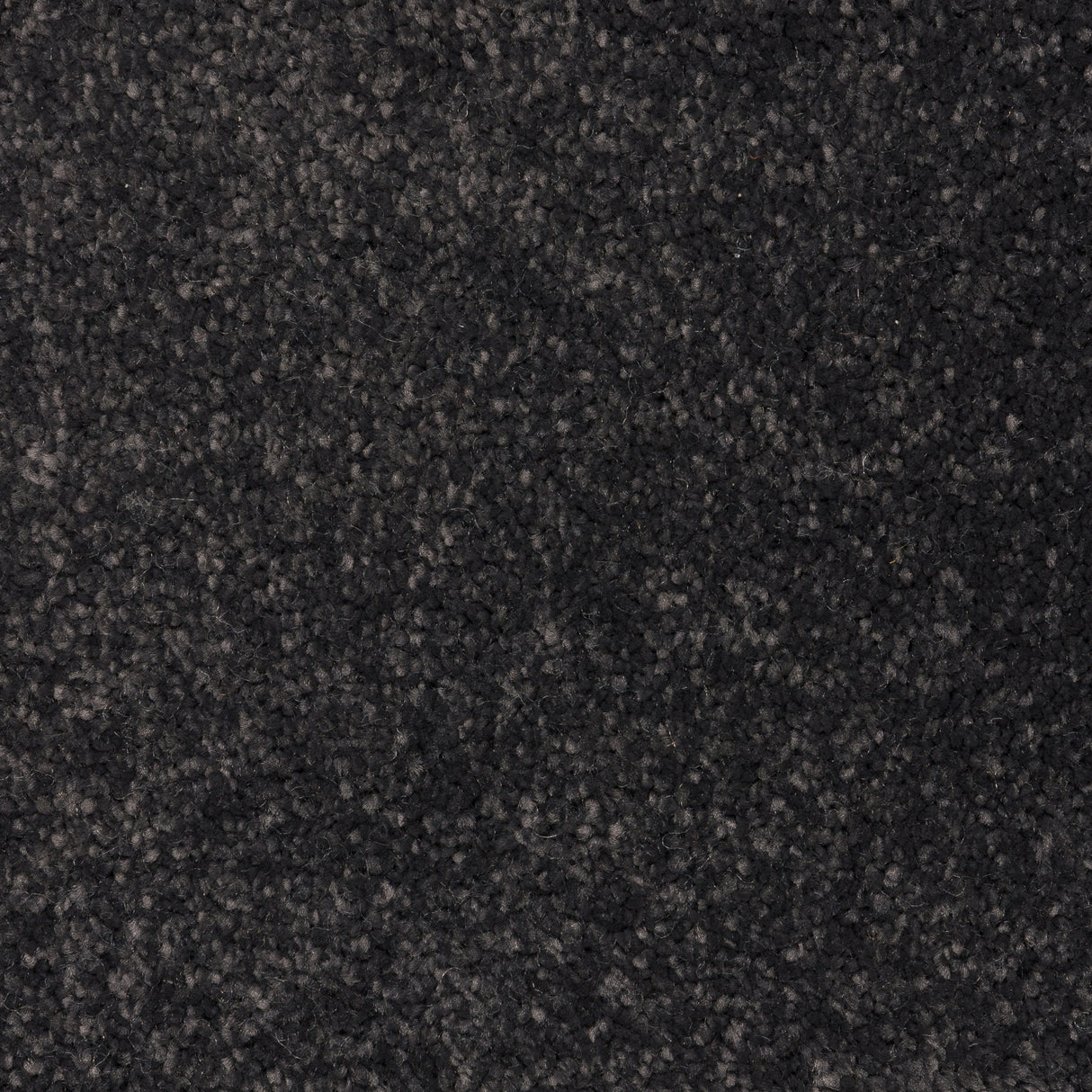 Knightlife Saxony Carpet