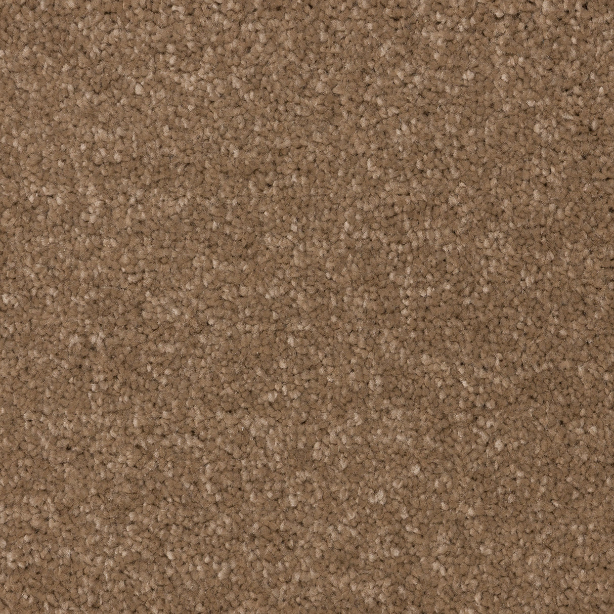 Knightlife Saxony Carpet